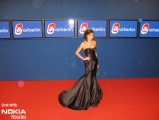red_carpet_38