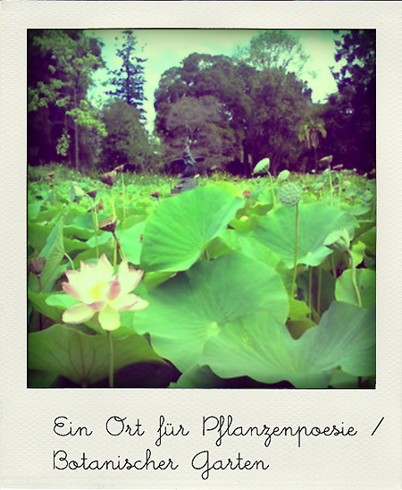 Botanischer-Garten-Kopie