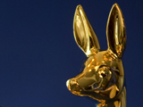 Das BAMBI unter der Lupe